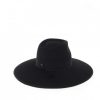 Wide-brimmed fedora hat