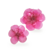 Broche Bloomies en Plexi rose aimantée - Maison Fabienne Delvigne